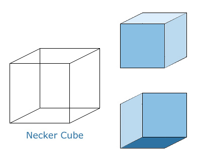 grey square illusion